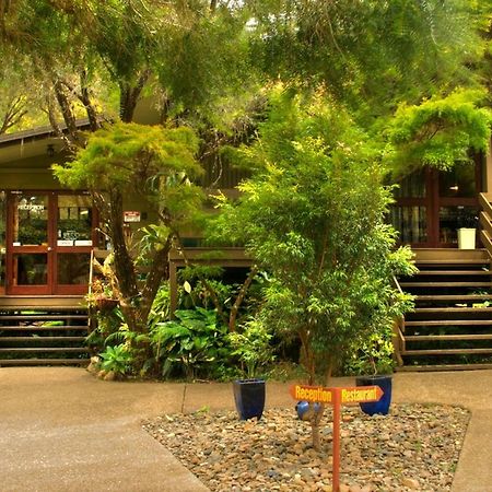 Broken River Mountain Resort Eungella エクステリア 写真