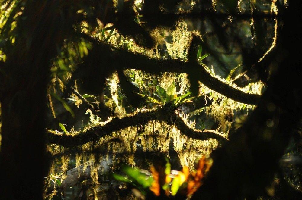 Broken River Mountain Resort Eungella エクステリア 写真