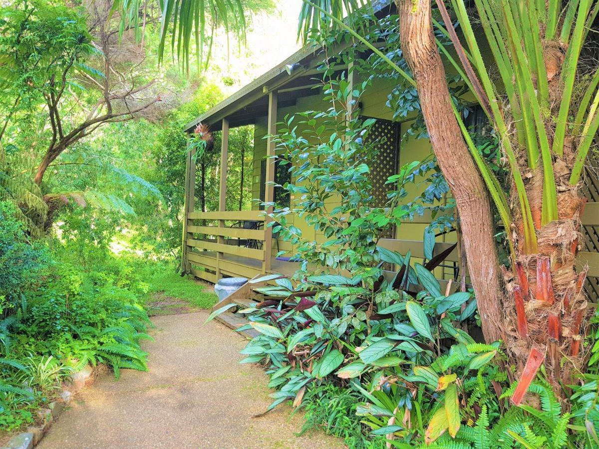 Broken River Mountain Resort Eungella エクステリア 写真